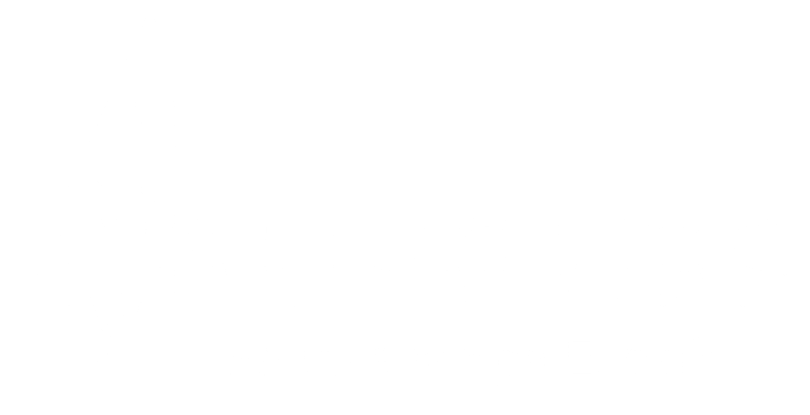 Logo de cliente de AIRIS