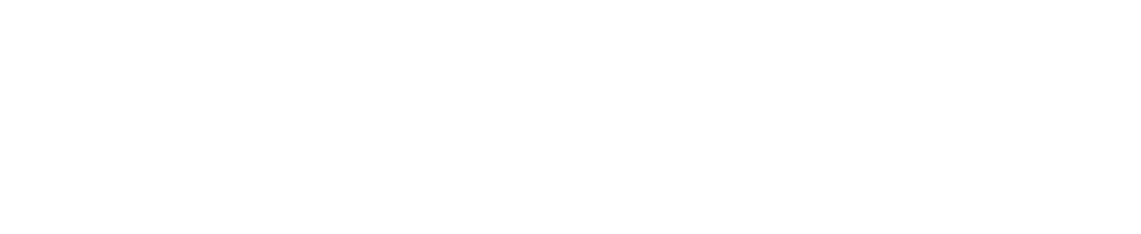 Logo de cliente de AIRIS